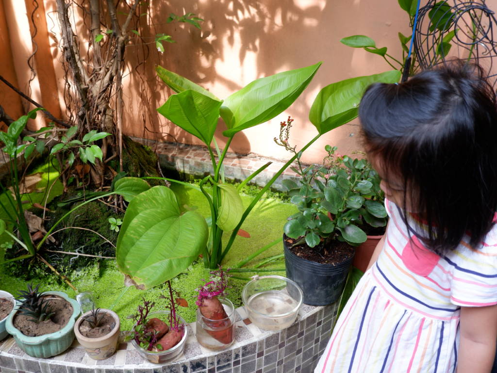 TRẢI NGHIỆM MẤT MÁT {LÀM MẸ & NHỮNG SỰ CHỌN LỰA} - No1