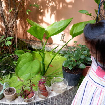 TRẢI NGHIỆM MẤT MÁT {LÀM MẸ & NHỮNG SỰ CHỌN LỰA} – No1