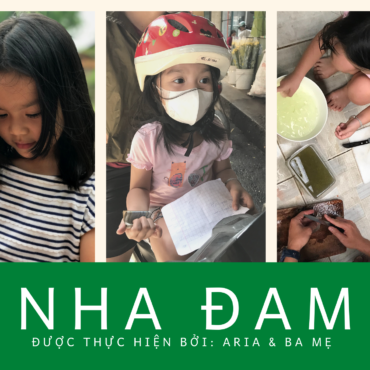 #2 Dự án “Nha đam”