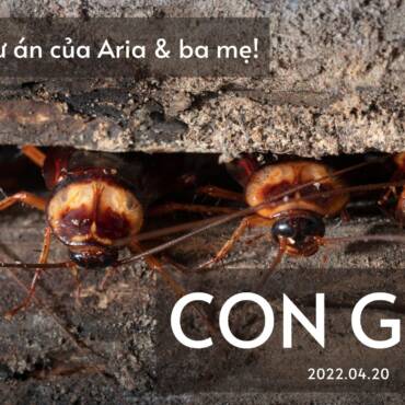 #3 Dự án “CON GIÁN”
