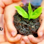 Nội dung đoạn văn bản của bạn